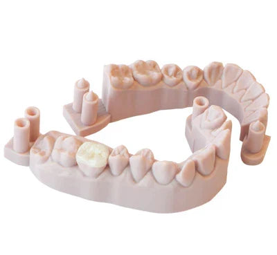 Resina PowerResins DentaFab Model