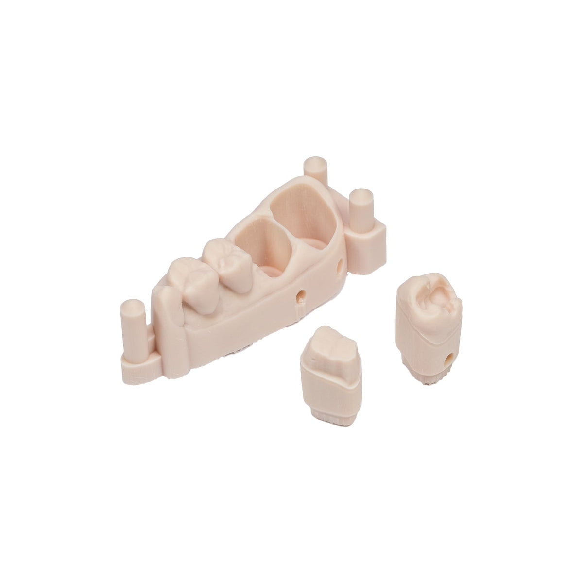 Resina PowerResins DentaFab Model