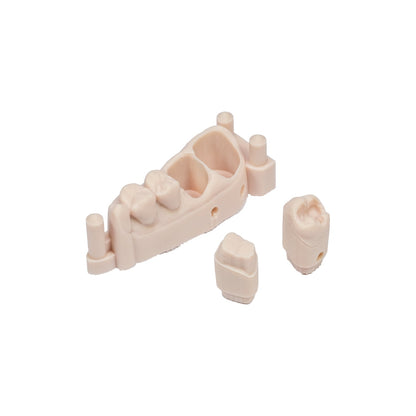 Resina PowerResins DentaFab Model